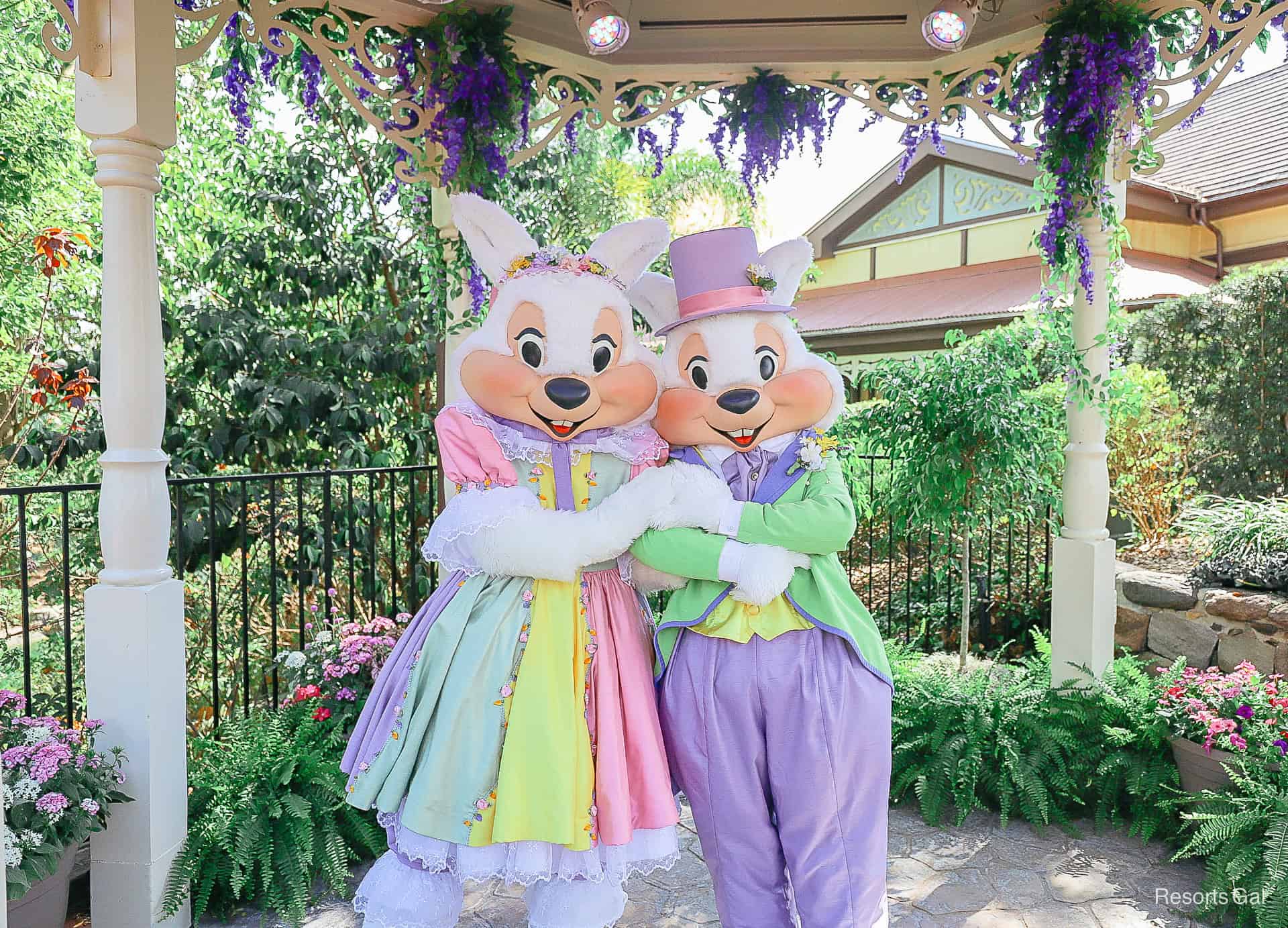 Mr. and Mrs. Easter Bunny at Magic Kingdom 