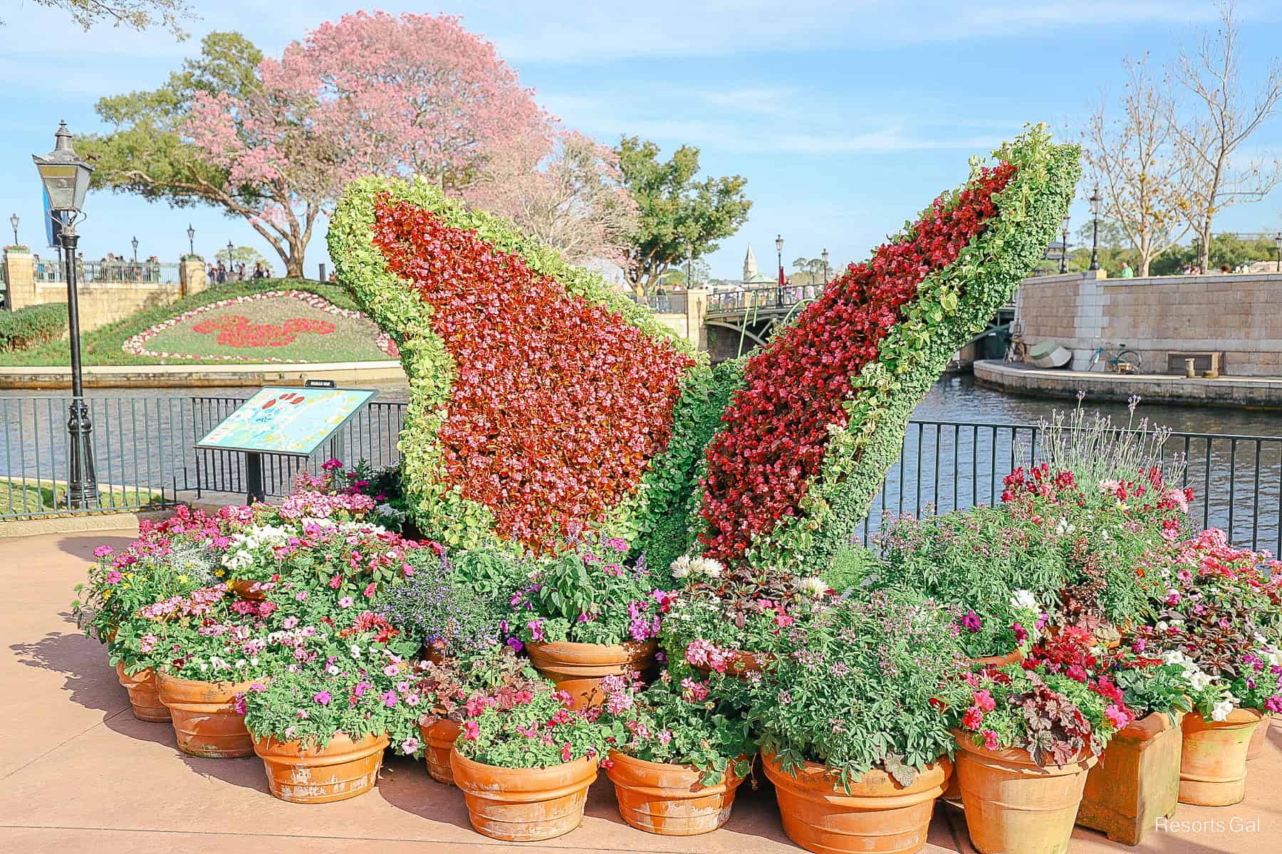 a scenic flower and garden butterfly topiary at Epcot in the Spring 