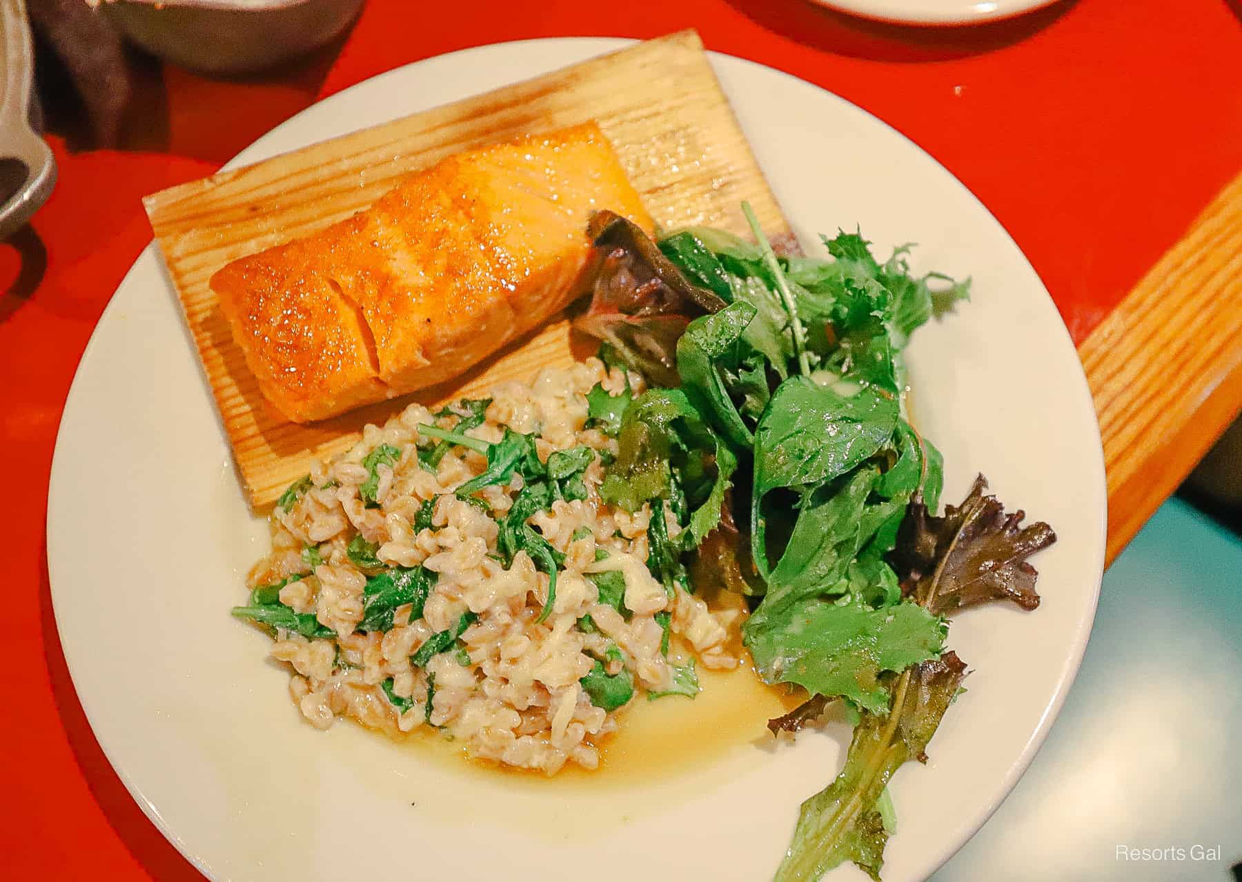 an order of cedar-plank salmon with a farro salad