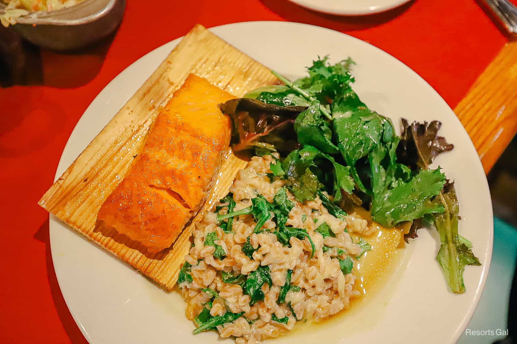 salmon, salad, and risotto 
