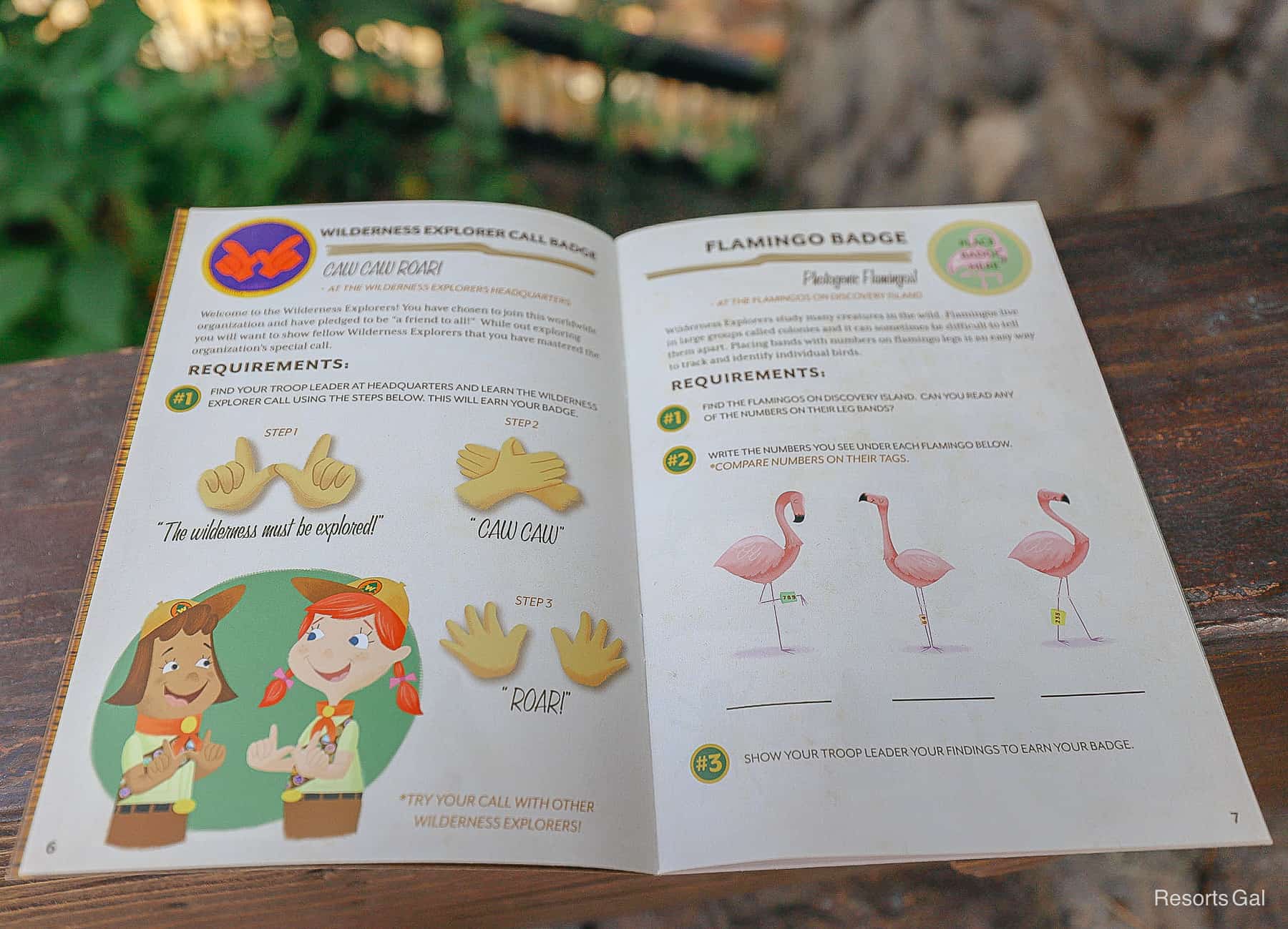 the interior of a Wilderness Explorer handbook with a page opened to the Flamingo Badge 