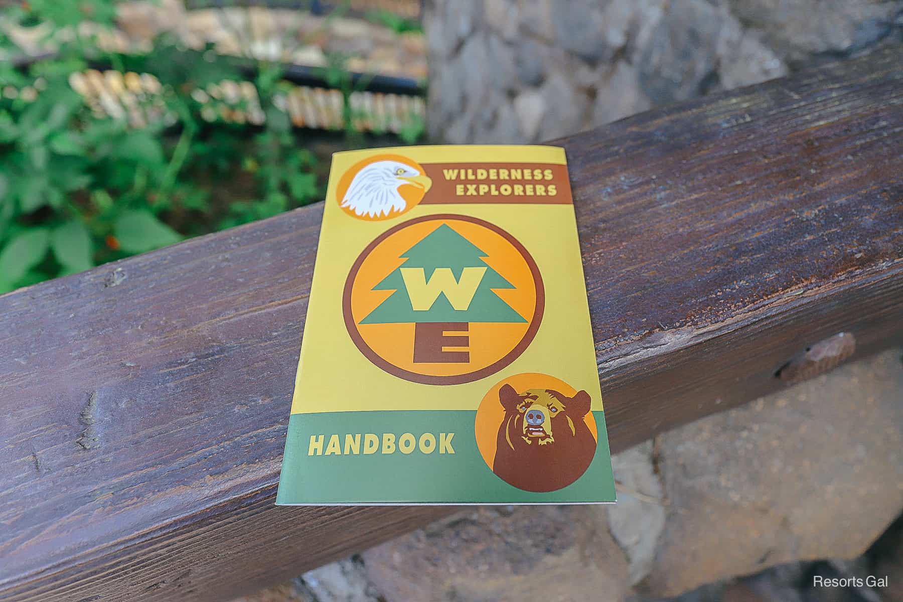 the Wilderness Explorer's handbook 