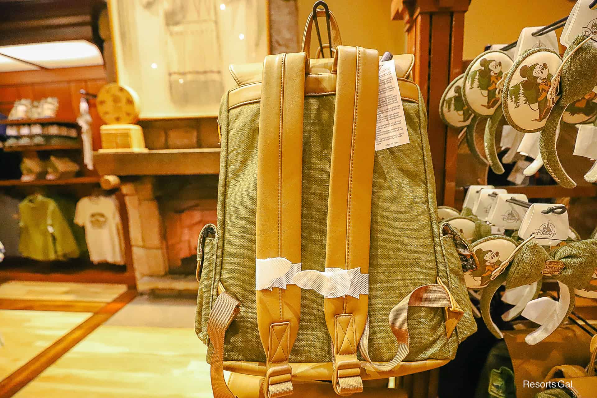 straps on the back of the Wilderness Lodge backpack