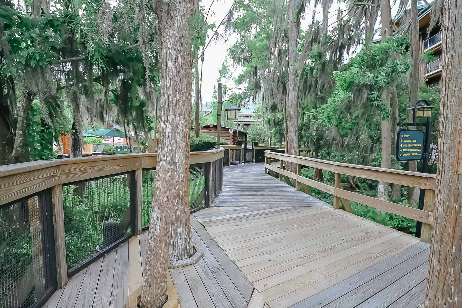 a raised wooden walkway with cutouts for trees that leads to the resort from the boat dock 