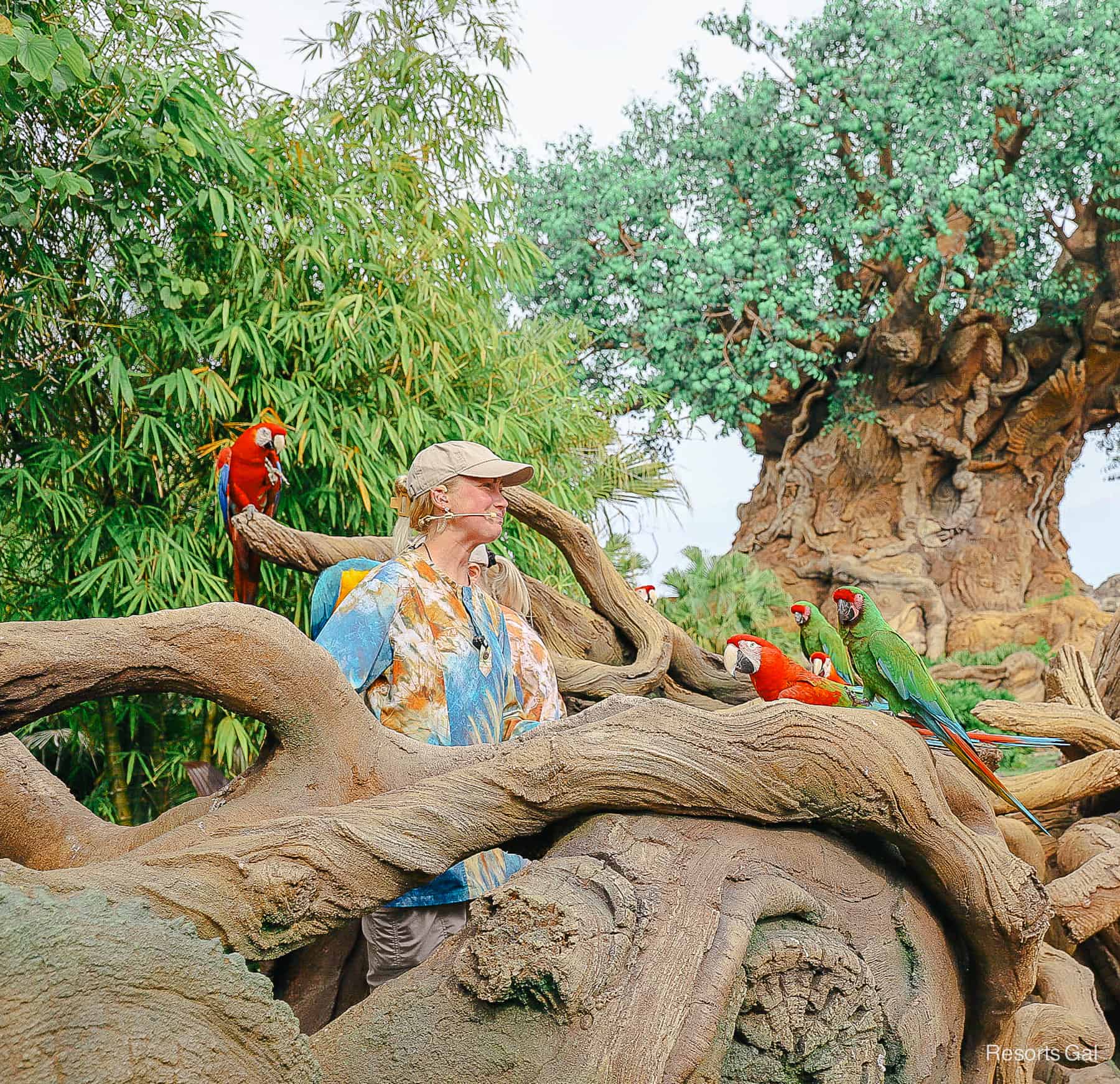 a cast member educates guests along the Discovery Island Trails 