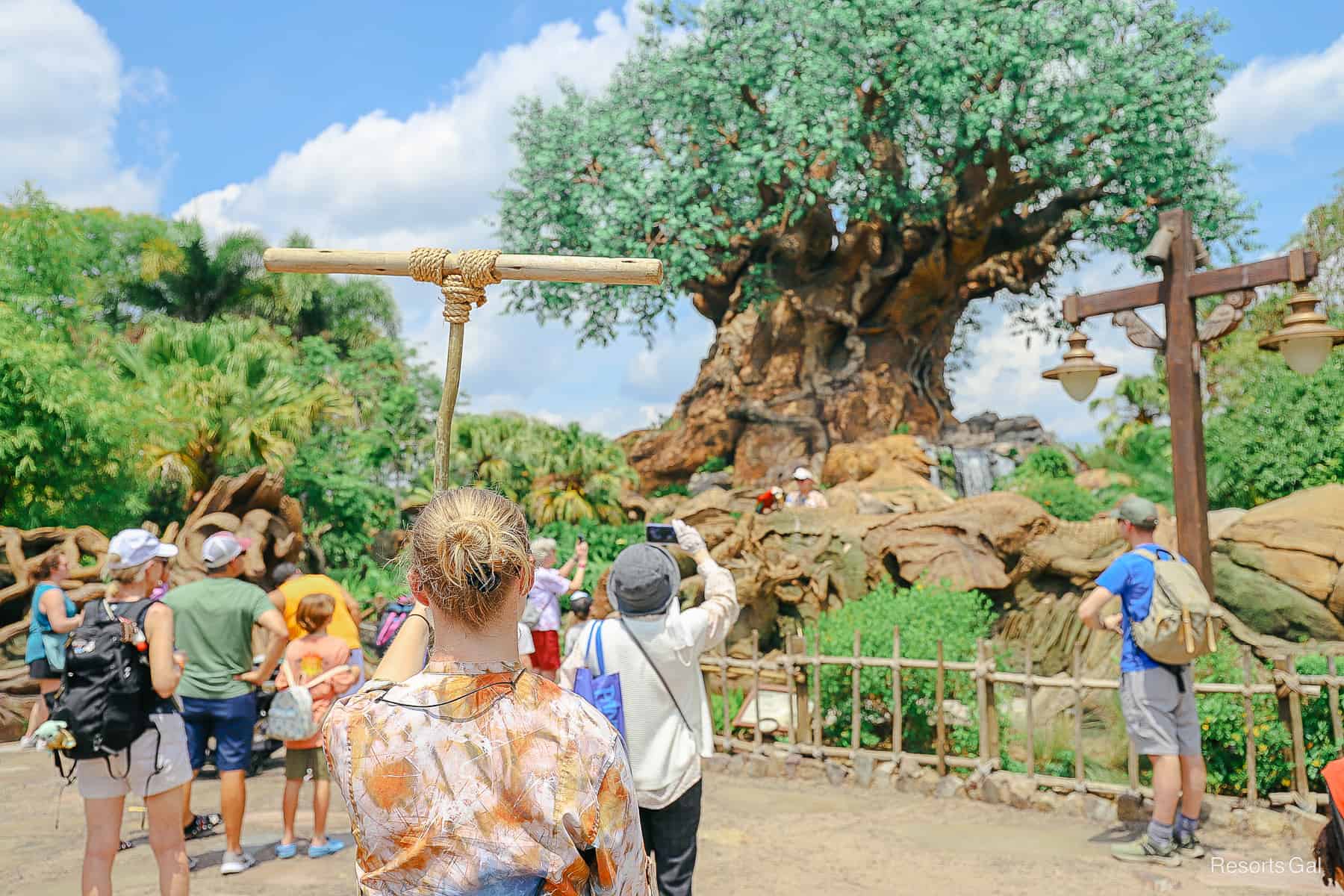 a cast member standing with a bird perch 