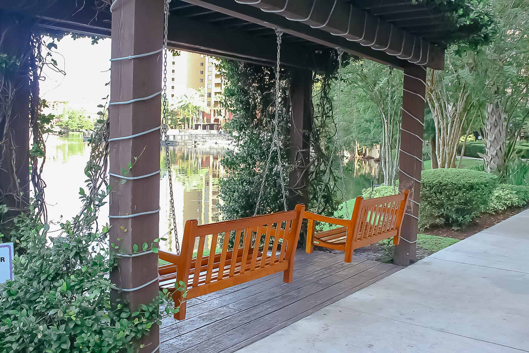 two swings under a trellis of vines 