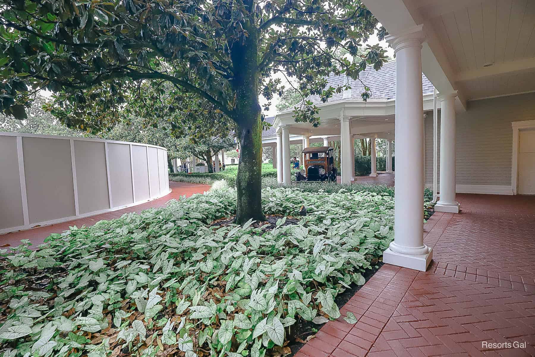 the valet side of the construction wall at Disney's Yacht Club's entrance