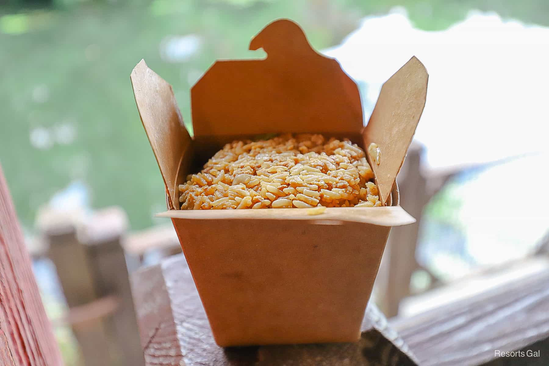 an order of chicken fried rice from Yak and Yeti 