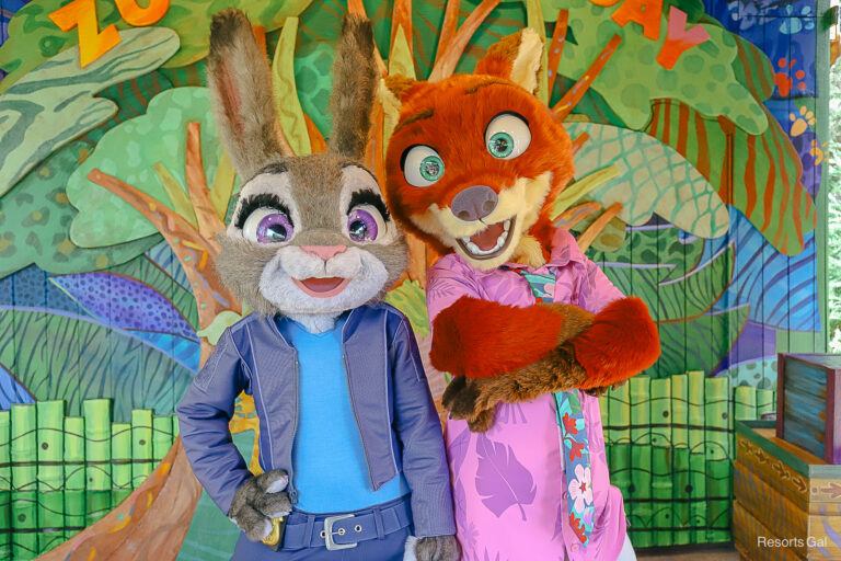 Zoogether Day Gathering Spot (Meet Judy Hopps and Nick Wilde at Disney’s Animal Kingdom)